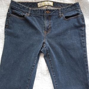 Ann Taylor Loft Slim Boot Jeans 12S